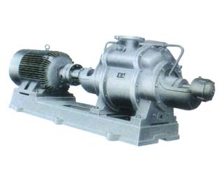 Whole official SZ water-ring pump and motor photograph