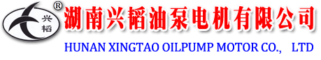 Hunan Xingtao Oil Pump and Motor Co., Ltd.