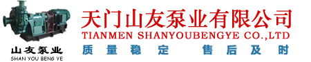 Tianmen Shanyou Pump Co., Ltd.