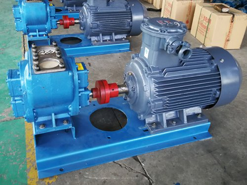 Botou Special Pump & Valve Manufacturing Co., Ltd. YHCB — manufacturer product photograph
