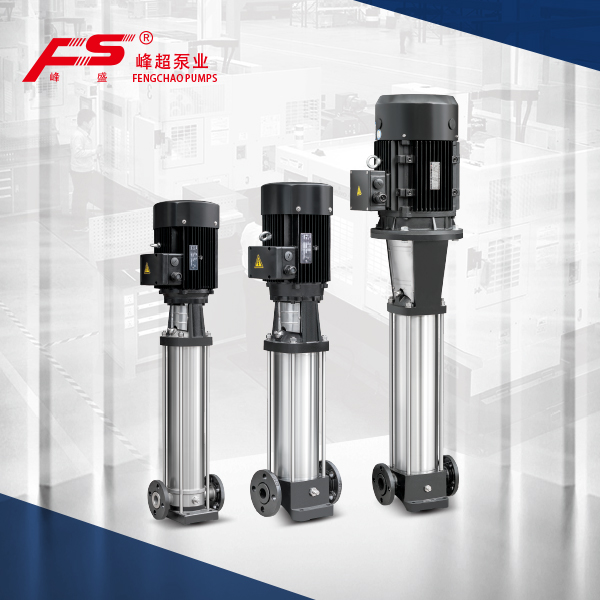 Jiangsu Fengchao Pump Industry Co., Ltd. QDL / QDLF — manufacturer product photograph