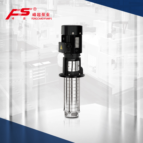 Jiangsu Fengchao Pump Industry Co., Ltd. QDYA — manufacturer product photograph