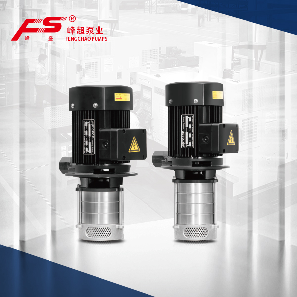 Jiangsu Fengchao Pump Industry Co., Ltd. QDYB2 / QDYB4 — manufacturer product photograph
