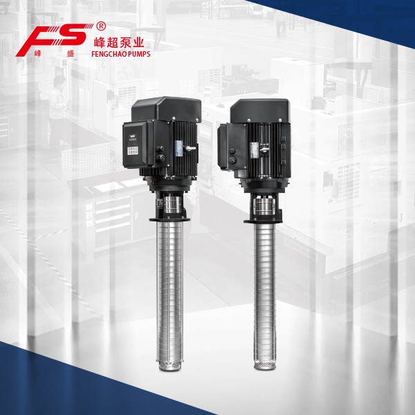Jiangsu Fengchao Pump Industry Co., Ltd. QDYG — manufacturer product photograph